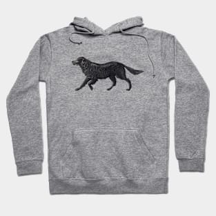 Black Dog Hoodie